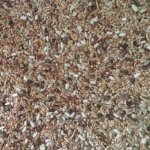 Avicentra Professional Neoféma 20 kg – Zboží Dáma