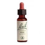Bachovy květové esence Borovice lesní Pine 20 ml – Hledejceny.cz