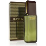 Antonio Puig Quorum Silver toaletní voda pánská 100 ml – Hledejceny.cz