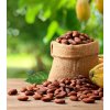 Sušený plod ZdravýDen BIO Kakaové boby celé nepražené Raw 200 g
