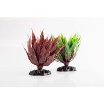 Repti Zoo Alternanthera Rosaefolia 20 cm – Zboží Dáma