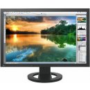 Eizo CG223W