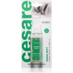 Mr&Mrs Fragrance Cesare Spray Warm Spicy – Hledejceny.cz