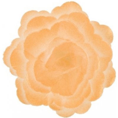 Dekorace oplatková - Růže velká 55 mm, zlatá perleť, 3 ks