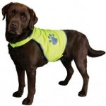 Bezpečnostní vesta reflexní L – Zboží Dáma