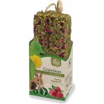 JR Farm Bezobilná tyčinka Malina pro kondici 140 g – Zboží Mobilmania