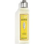 L´Occitane Verveine Agrumes osvěžující tělové mléko 250 ml – Hledejceny.cz