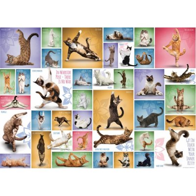 EuroGraphics Kočičí jóga 1000 dílků – Zboží Mobilmania