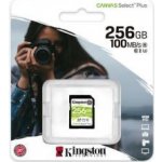 Kingston SDXC UHS-I U1 256 GB SDS2/256GB – Zboží Mobilmania