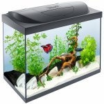 Tetra Starter Line LED 80 l – Zboží Dáma