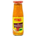 CAMEL Amba mango nakládané plátky 400 g – Zboží Dáma