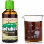 Bylinné kapky Gotukola 50 ml – Hledejceny.cz
