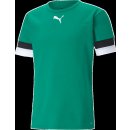 Puma Team Rise Jersey 704932 05 pánské