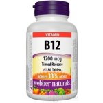 Webber Naturals Vitamín B12 1200mcg 80 tablet – Hledejceny.cz
