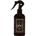 Dear Barber Sea salt texturising spray 250 ml – Zboží Dáma