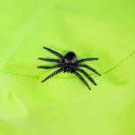 Bigjigs Toys Souprava k chytání hmyzu – Hledejceny.cz