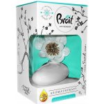 Brait dekorativní osvěžovač vzduchu AROMA 75 ml Frosty delight – Sleviste.cz