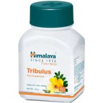 Himalaya Tribulus 60 kapslí – Hledejceny.cz