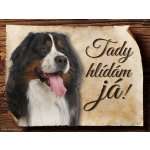 Sport hobby Cedulka Bernský salašnický pes Tady hlídám já CP056 27 x 20 cm – Hledejceny.cz