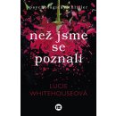 Než jsme se poznali - Lucie Whitehouseová