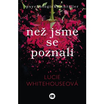 Než jsme se poznali - Lucie Whitehouseová