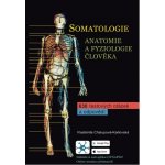 Somatologie Anatomie a fyziol. Člověka – Sleviste.cz