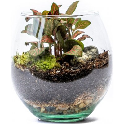 Gardners Skleněná váza boule, průměr 13 cm - osázené vlhkomilně – Hledejceny.cz