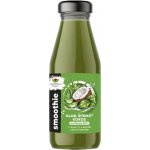 EkoMedica SMOOTHIE aloe špenát kokos 250 ml – Hledejceny.cz