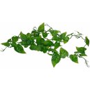 Lucky Reptile Jungle Vine Gape Leaf Vine 200 cm