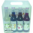 Monin Cocktail box 4 x 250 l