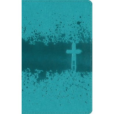 Niv, Kids Visual Study Bible, Leathersoft, Teal, Full Color Interior, Peel/Stick Bible Tabs: Explore the Story of the Bible---People, Places, and His ZondervanImitation Leather – Hledejceny.cz