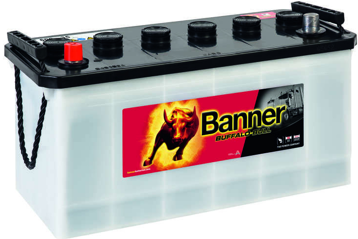 Banner Buffalo Bull 12V 110Ah 800A 610 11