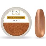 Starnails Nail Art zdobení pigment P007 – Hledejceny.cz