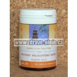 TCM Herbs Pevnost palácového pilíře 100 tablet – Sleviste.cz