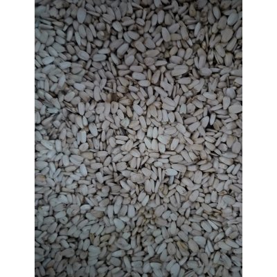 Fauna Hradil Slunečnice bílá 20 kg – Zboží Dáma