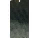 Olej Williamsburg 37 ml 1641 Turkey Umber – Zboží Dáma