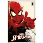 Plakát - Marvel - Spider-Man – Zboží Dáma