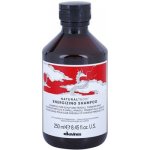 Davines Naturaltech Energizing Shampoo 250 ml – Hledejceny.cz