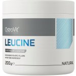 OstroVit L-Leucin 5000 200 g – Hledejceny.cz