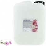 PM Aqualog esence do parních kabin alpské bylinky 801-005/D 5 l – Hledejceny.cz