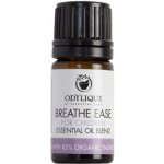 Odylique Směs Esenciálních Olejů pro Dýchací Cesty Dětí do 10 let Breathe Ease 10 ml – Hledejceny.cz
