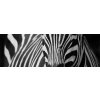 Tapety WEBLUX Fototapeta do kuchyně fólie zčbre 2 - 8594597 zebra black and bělet stripe rozměry 180 x 60 cm