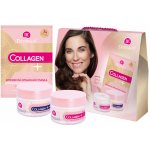 Dermacol Collagen+ denní pleťová péče Collagen+ Rejuvenating SPF10 50 ml + noční pleťová péče Collagen+ Rejuvenating 50 ml dárková sada – Hledejceny.cz