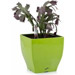 G21 Samozavlažovací květináč Cube mini zelený 13.5 cm – Zboží Dáma