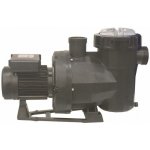 Astralpool VICTORIA PLUS SILENT 11 m³/h / 230 V – Hledejceny.cz