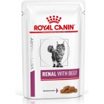 Royal Canin Veterinary Diet Cat Renal with Chicken Feline 12 x 85 g – Hledejceny.cz