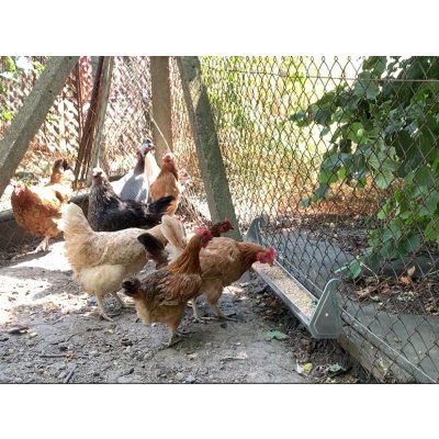 Contro Fratelli CF034.40 0046-XG Závěsné žlabové krmítko plechové 100 cm – Hledejceny.cz