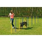 Karlie Agility slalom 12 x 100 cm – Sleviste.cz