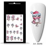 BIO nails vodolepka 30098 zimní ptáček – Hledejceny.cz
