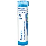 CINNABARIS POR 9CH GRA 1X4G – Hledejceny.cz